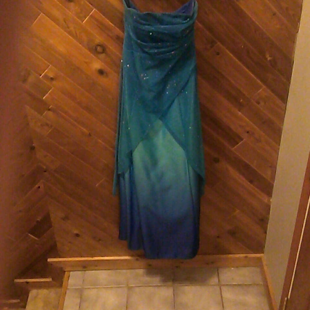 Prom Dress - Picture 3 of 4